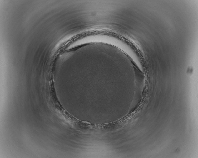 X0000091960920200709131224