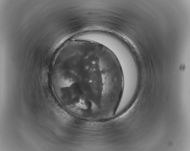 X0000091960921200709131224