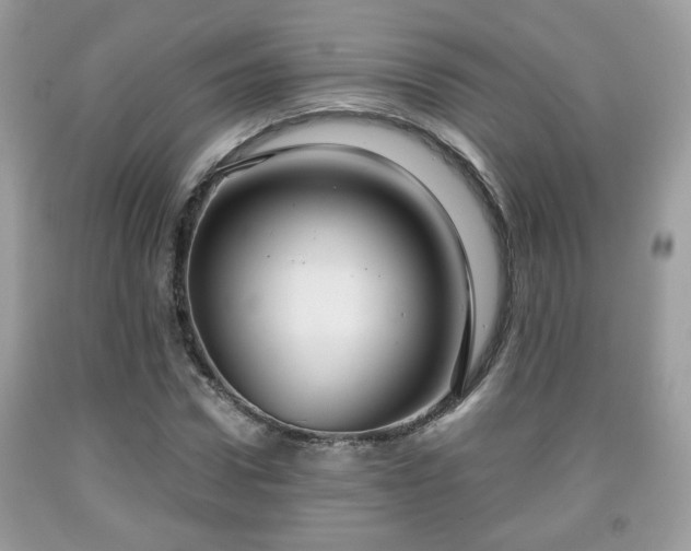 X0000091960922200709131224