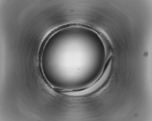 X0000091960924200709131224