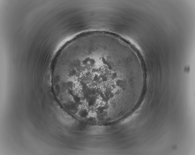 X0000091960925200709131224