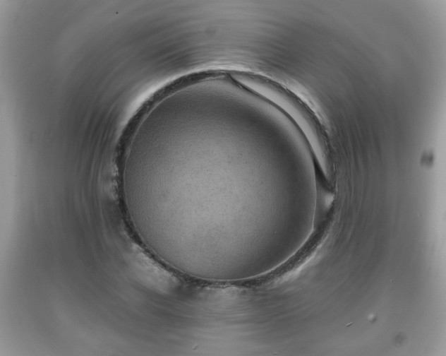 X0000091960926200709131224