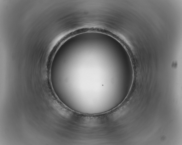 X0000091960927200709131224