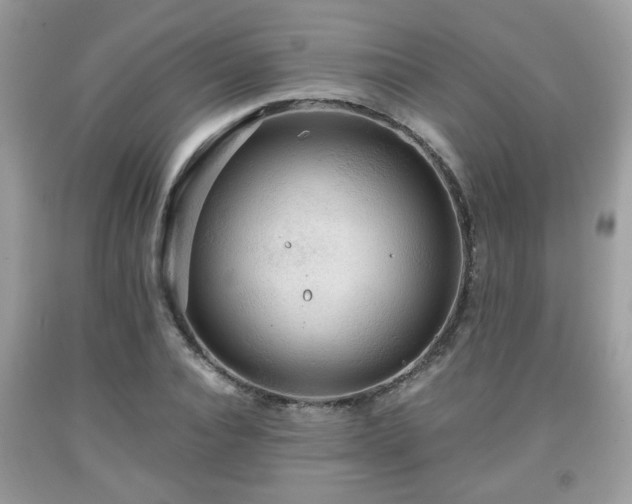 X0000091960928200709131224