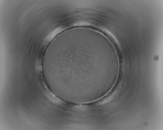 X0000091960929200709131224