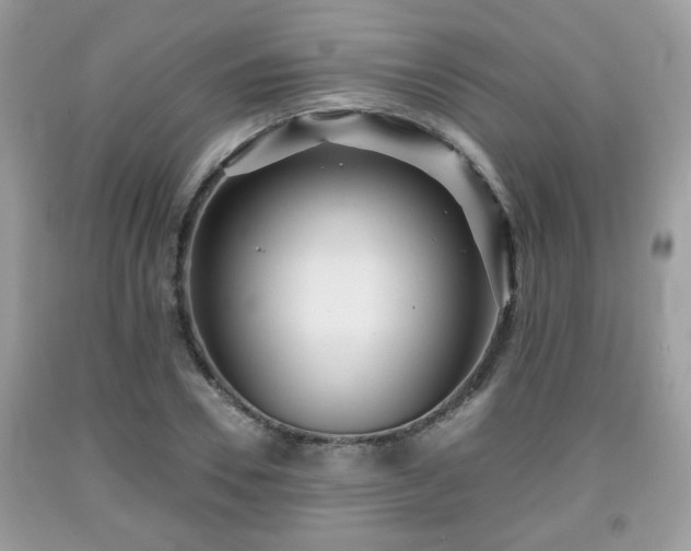 X0000091960930200709131224