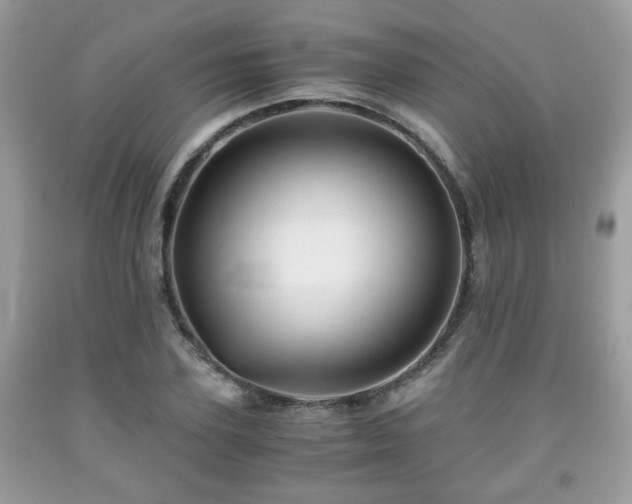 X0000091960931200709131224