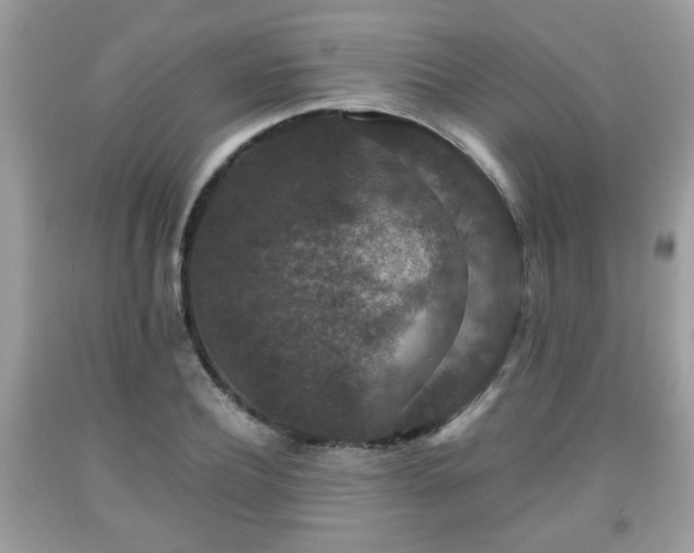 X0000091960932200709131224