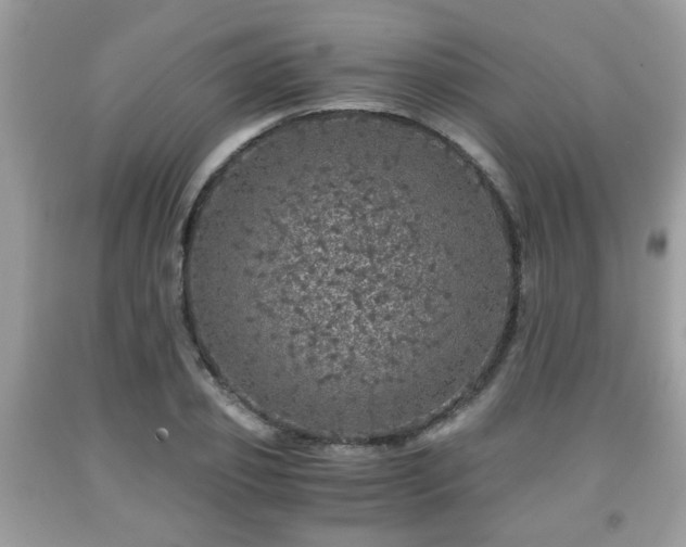 X0000091960933200709131224