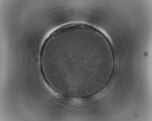 X0000091960935200709131224