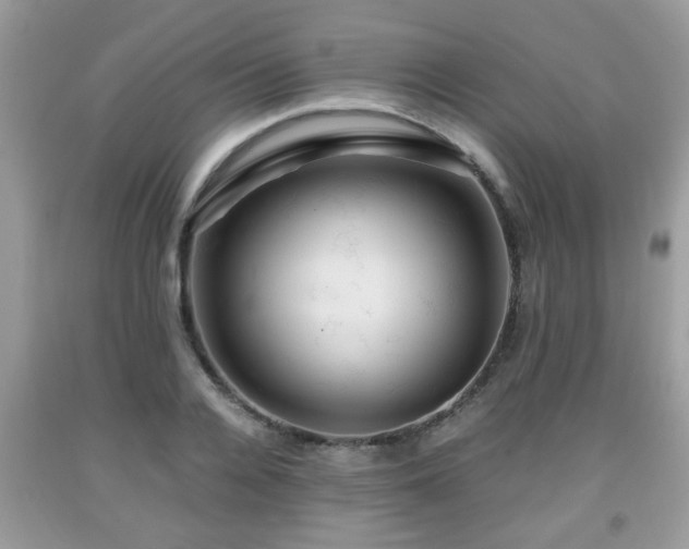 X0000091960936200709131224