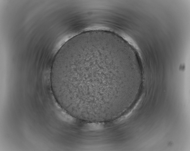 X0000091960937200709131224