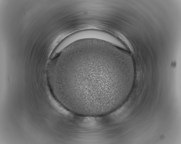 X0000091960938200709131224