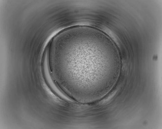 X0000091960939200709131224