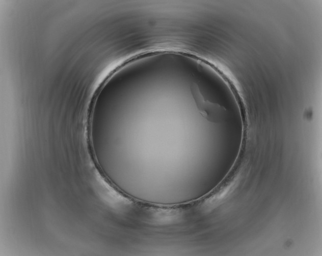 X0000091960941200709131224