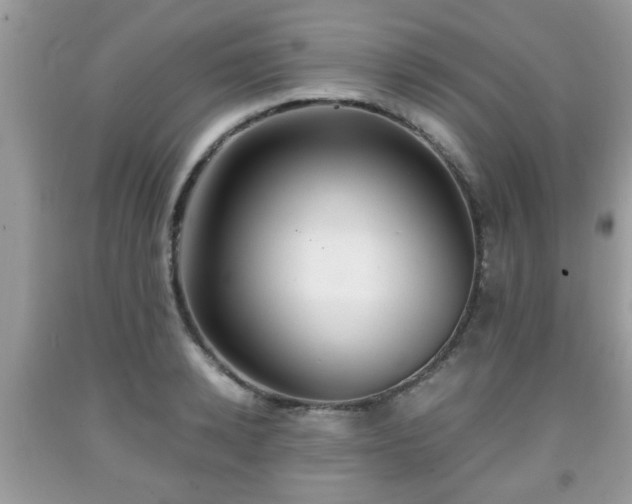 X0000091960942200709131224