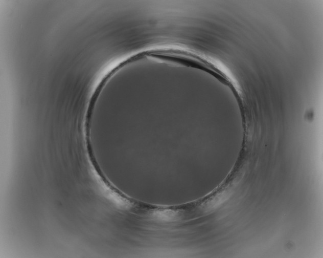 X0000091960943200709131224