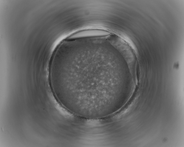 X0000091960944200709131224