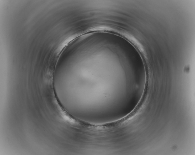 X0000091960945200709131224