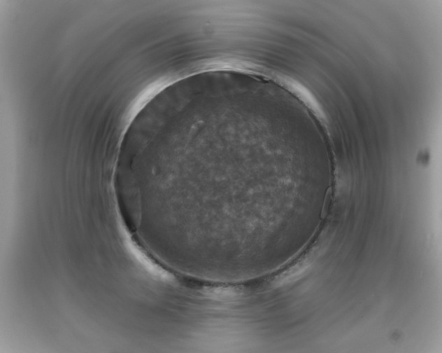 X0000091960946200709131224