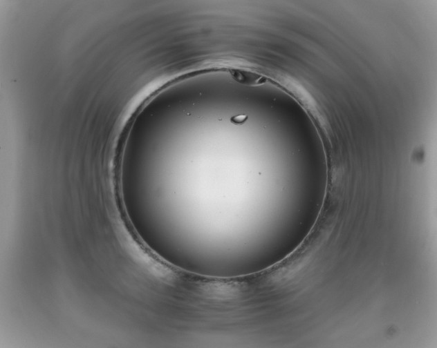 X0000091960947200709131224