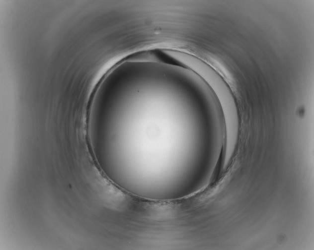 X0000091960948200709131224