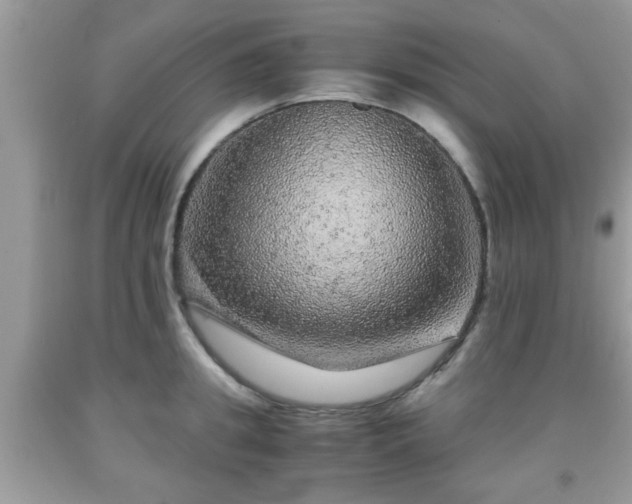 X0000091960949200709131224