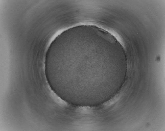 X0000091960950200709131224