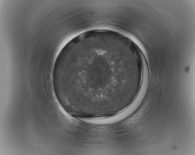 X0000091960951200709131224