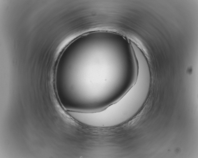 X0000091960952200709131224