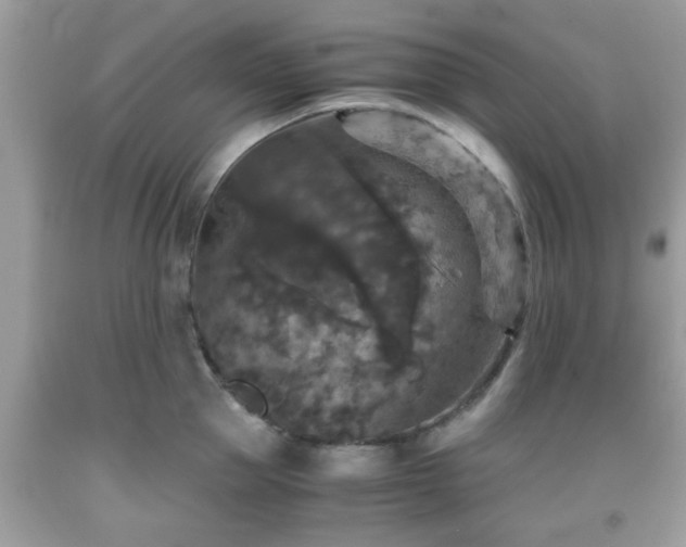 X0000091960953200709131224