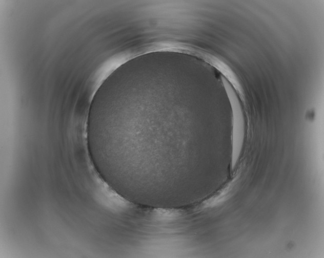 X0000091960954200709131224