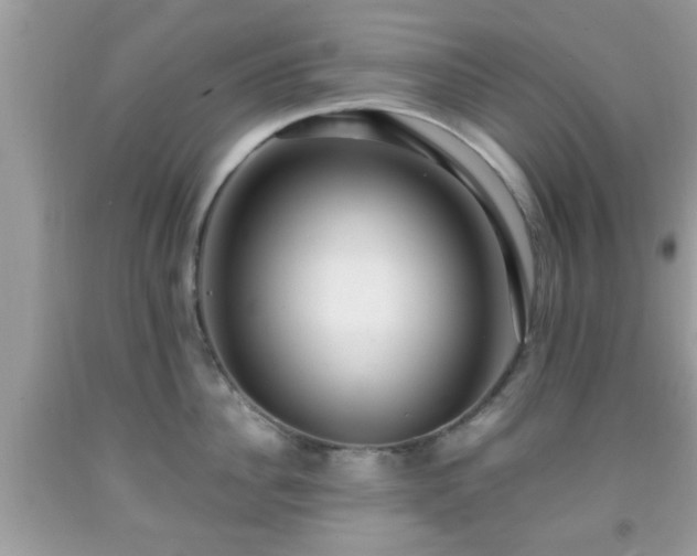 X0000091960956200709131224