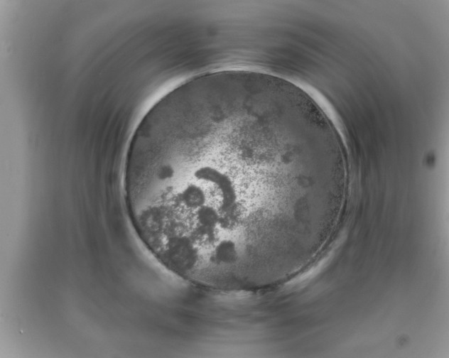 X0000091960957200709131224