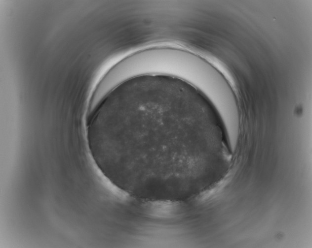 X0000091960959200709131224