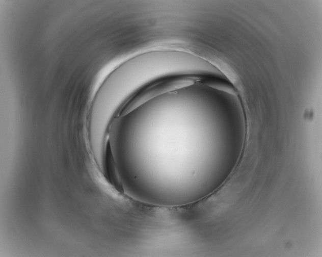 X0000091960960200709131224