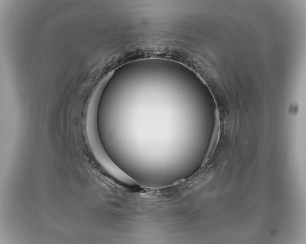 X0000091960961200709131223