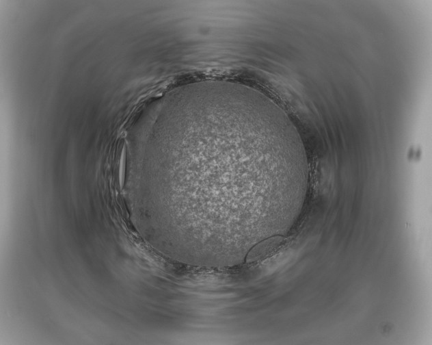 X0000091960962200709131223