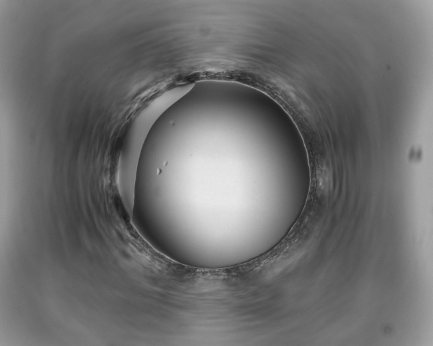 X0000091960964200709131223