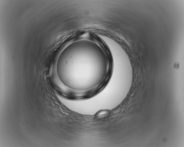 X0000091960965200709131223