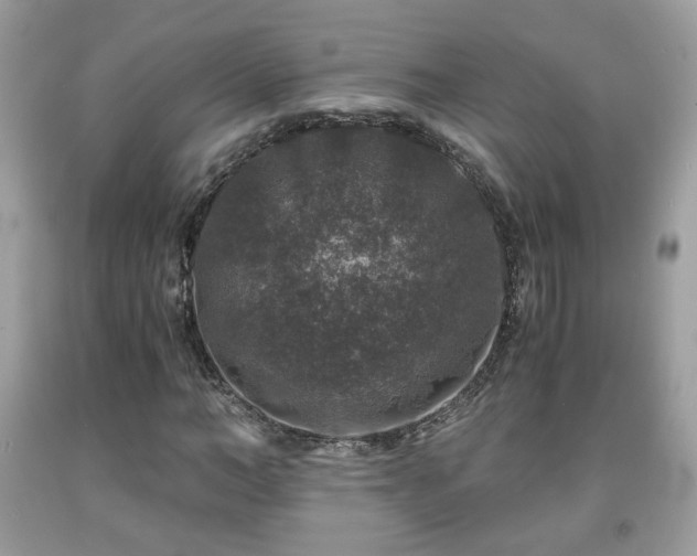 X0000091960966200709131223