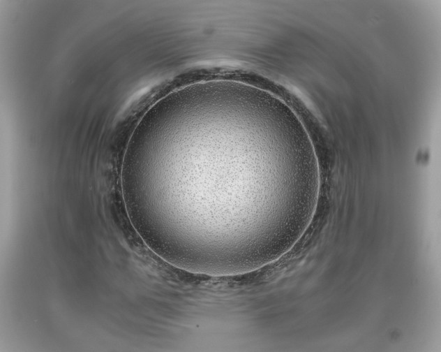 X0000091960967200709131223