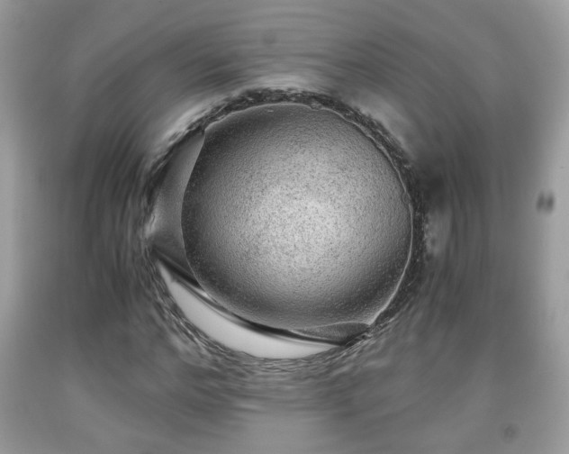 X0000091960968200709131223