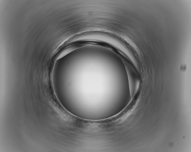 X0000091960969200709131223