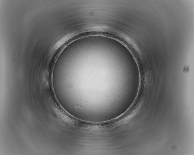 X0000091960970200709131223