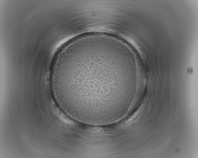 X0000091960971200709131223