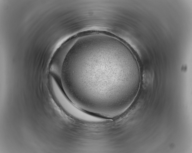 X0000091960972200709131223