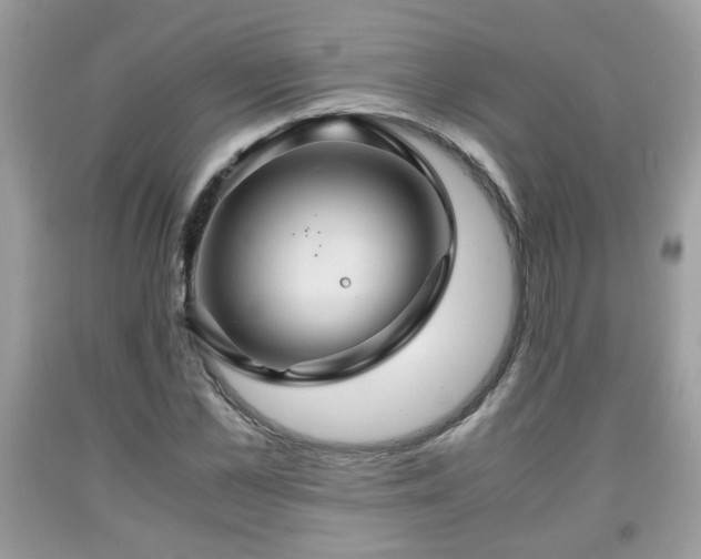 X0000091960973200709131223