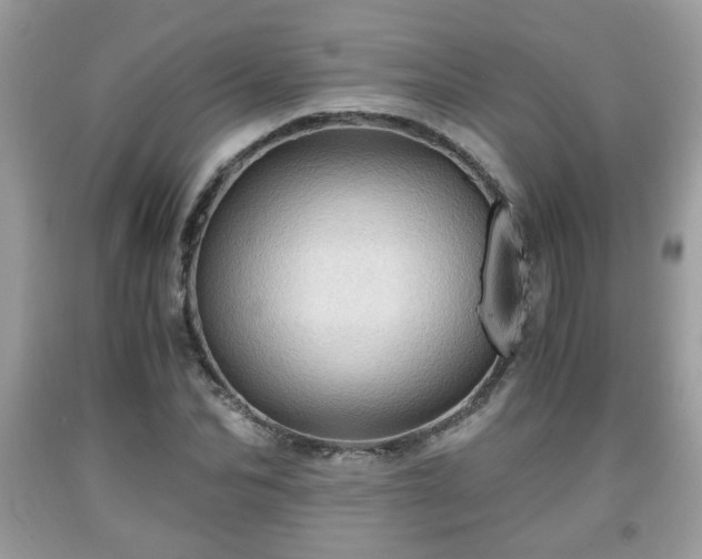 X0000091960974200709131223