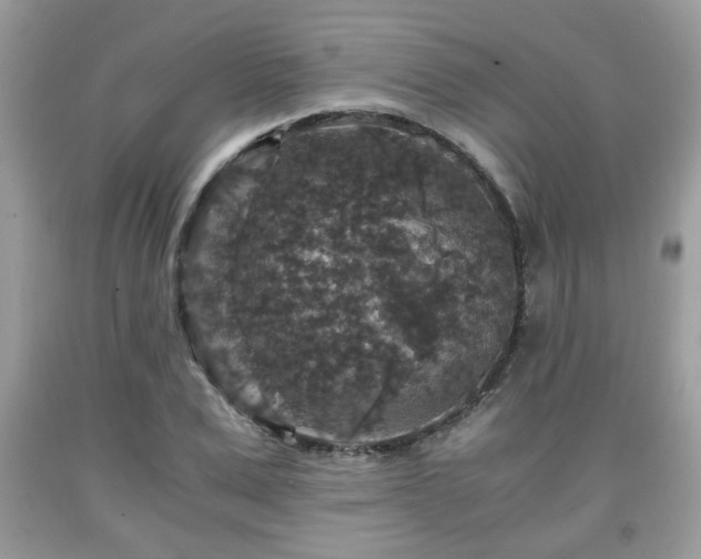 X0000091960975200709131223